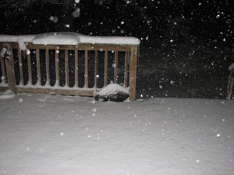 2008-12-20_Snow_Storm 051.jpg